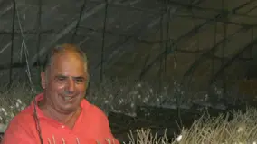 foto Farrari per Poletto, allevamento di bacchicoltura di Antonio Marcato di Borgoricco per Poletto