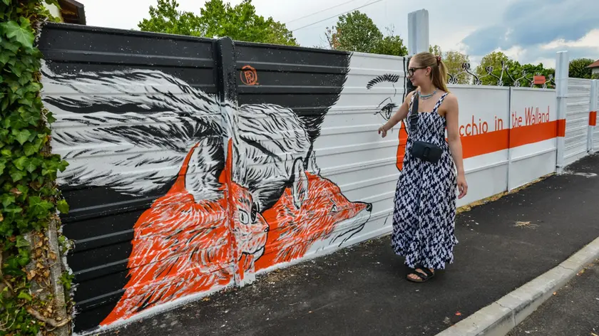 I murales di Vallà sono diventati lo spunto per un “fil rouge” culturale della Castellana (foto Macca)