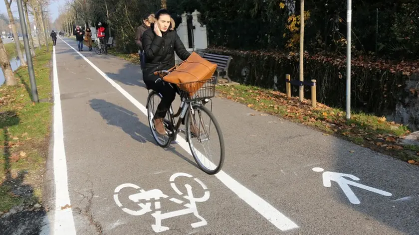 zago AG.FOTOFILM treviso segnaletica pista ciclabile viale vittorio veneto