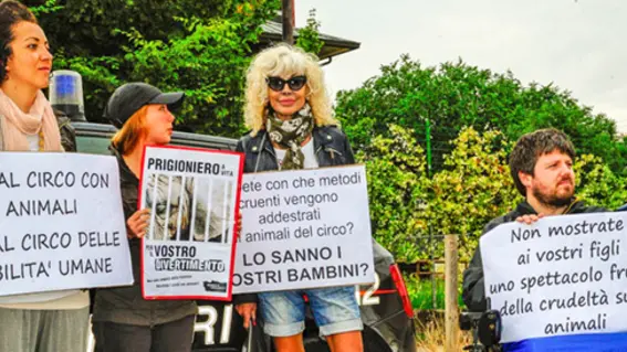 Borghesi - Montebelluna manifestazione della LAV contro il circo.