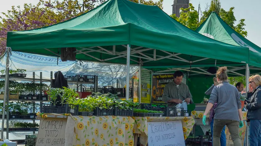 BELLUCO.INTERVISTE MERCATO KM0 CADONEGHE.banco Pedron paolino