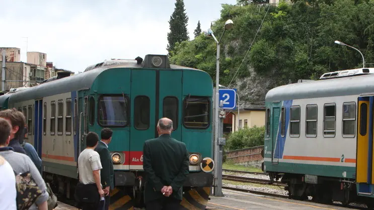 BORIN VITTORIO VENETO STAZIONE FERROVIARIA vittorio veneto pulizia stazione ferroviaria gaiarine cane colpito cacciatori