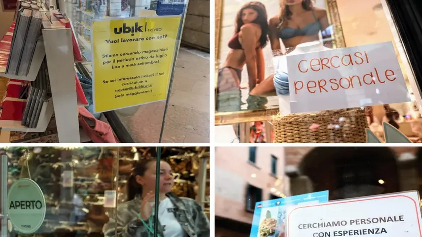 Alcuni dei cartelli di ricerca personale che si notano in questi giorni in centro a Treviso in bar, locali, negozi
