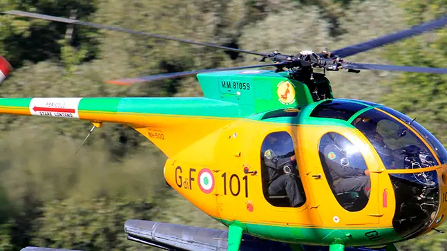 Borin Nervesa festa air show