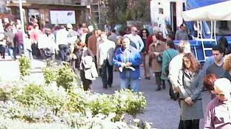 CONEGLIANO IN FIORE 010401