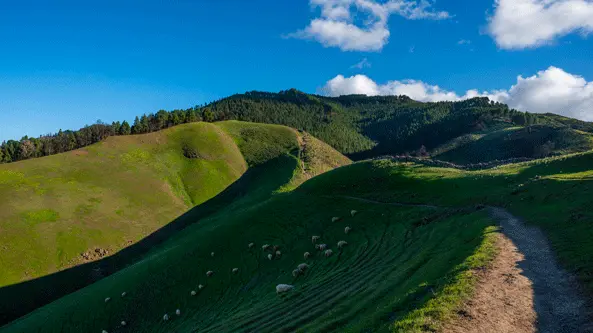 Monte Pavón, Gáldar