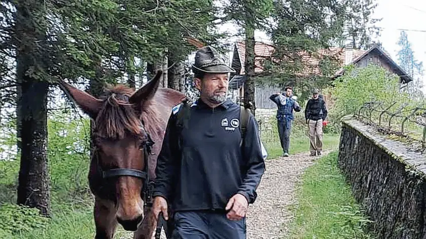 Alpini in marcia dalla provincia di Treviso verso Vicenza