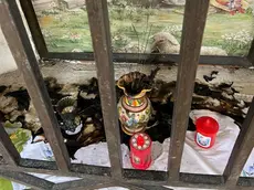 Il capitello votivo dato alle fiamme a Vidor