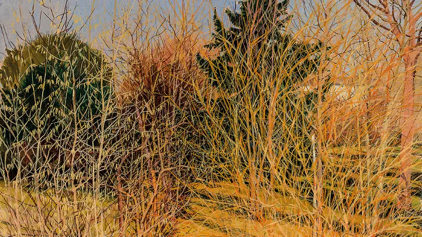 [ D 11 ] Angolo di giardino al sole di gennaio 1969 olio su tela cm 80x80 collezione privata
