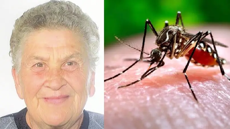 Maria Narder, la donna di Ponte di Piave uccisa in pochi giorni dal virus West Nile