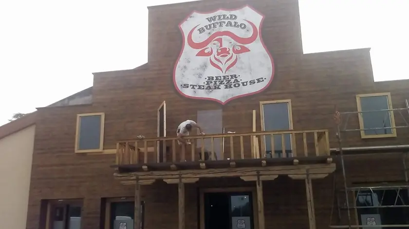 Il wild buffalo