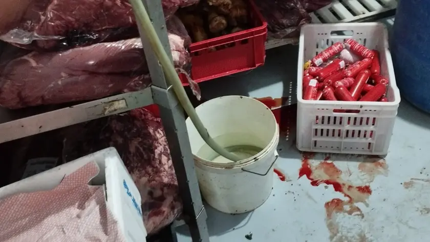 Controlli da parte del Nas nei negozi etnici a Castelfranco