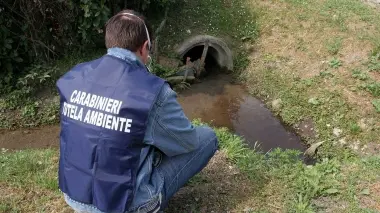 I carabinieri del Noe di Treviso
