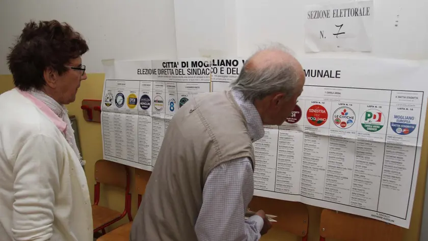 PRANDI PRANDI ELEZIONI A SINDACO CAROLA AL VOTO ALLE SCUOLE A. FRANK