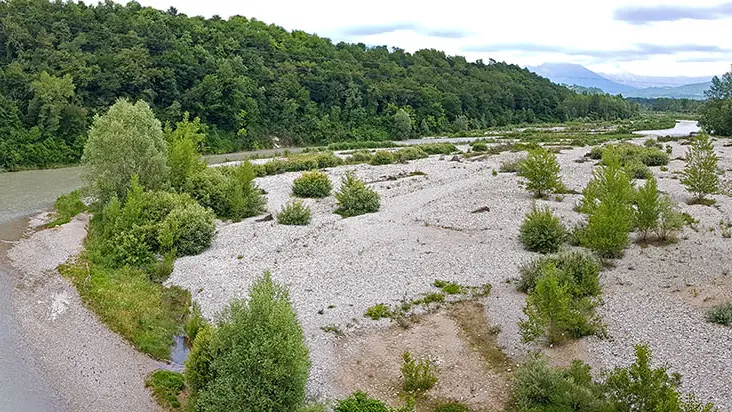Il Piave all'altezza di Trichiana, nel Bellunese