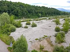 Il Piave all'altezza di Trichiana, nel Bellunese