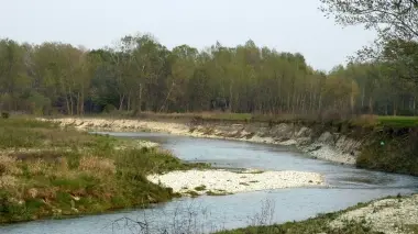 FIUME Il tratto del Piave e le grave a Cimadolmo (Foto Di Daniel Google Earth)