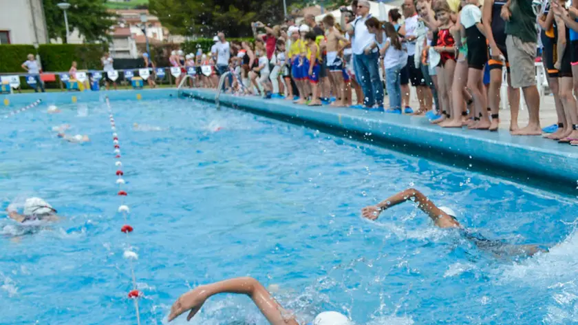 20160619 - SPO - VITTORIO VENETO (TV): TRIATHLON SILCA ULTRALITE. Gara di nuoto. Foto Stefano Covre.www.facebook.com/StefanoCovrePhotography.instagram.com/stefanocovre_photonik