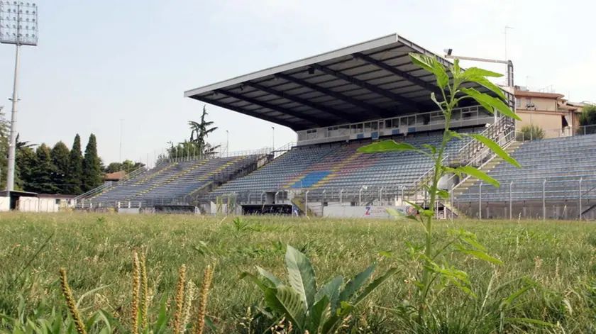 GRASSI TREVISO STADIO TENNI AGENZIA FOTOGRAFICA FOTOFILM