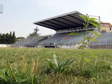 GRASSI TREVISO STADIO TENNI AGENZIA FOTOGRAFICA FOTOFILM