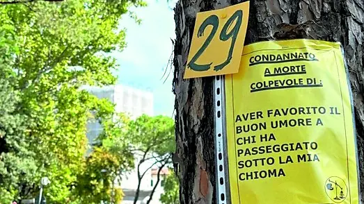 Uno dei cartelli appesi ai tronchi dei pini