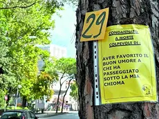 Uno dei cartelli appesi ai tronchi dei pini