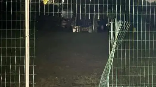 Una delle recinzioni tagliate in precedenza dai ladri a Godega per prepararsi la via di fuga tra i campi