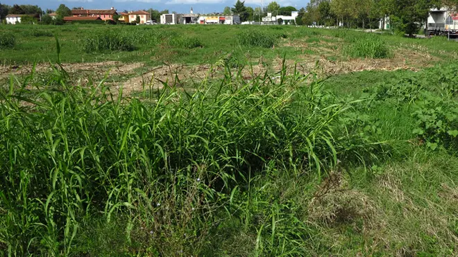 DeMarchi Castelfranco area costruzione cartiera