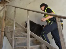 Uno dei sopralluoghi all’interno dell’abbazia di Santa Bona