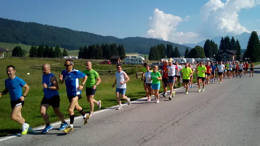 Runners in Cansiglio, la Run è alla sua prima edizione estiva