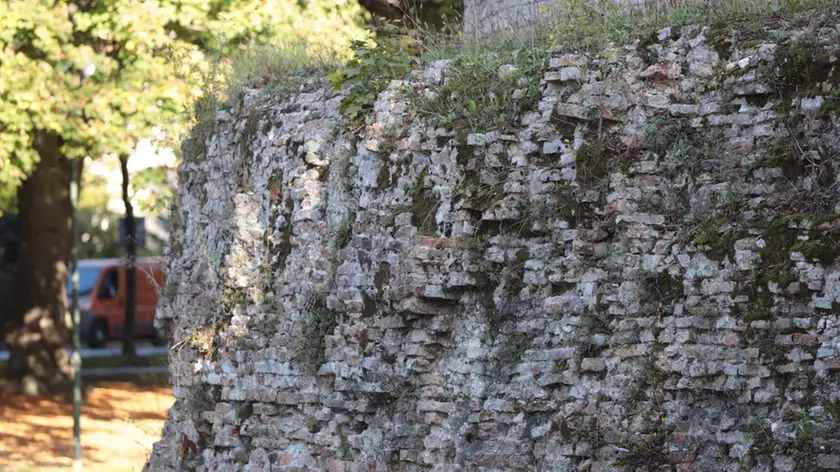 zago agenzia foto film treviso radici sulle mura
