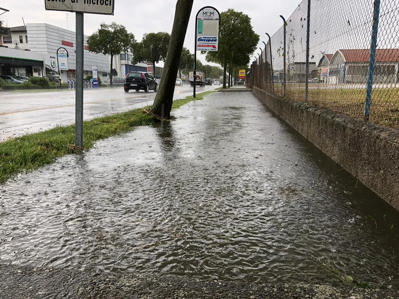 Viale della Repubblica a Treviso stamattina