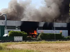 il rogo alla Vidori