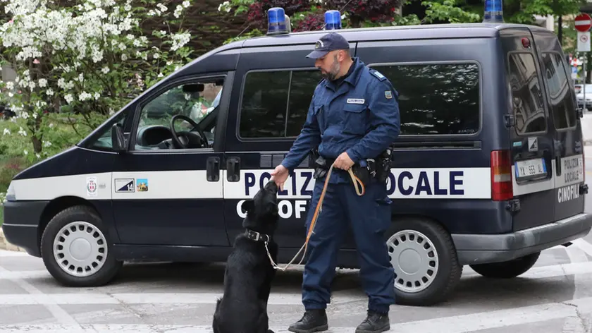 ZAGO AG.FOTOFILM TREVISO VIA ROMA INTERVISTE COMMERCIANTI E CONTROLLI FORZE DELLORDINE