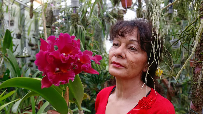 Borghesi Fonte Alto Gabriella Boso e le sue orchidee