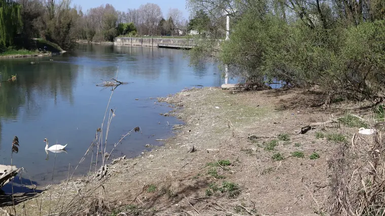 AGOSTINI AG.FOTOFILM SILEA IL SILE IN SECCA LUNGO LA RESTERA DAI BURCI A LUGHIGNANO, IN FOTO I BURCI