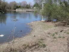 AGOSTINI AG.FOTOFILM SILEA IL SILE IN SECCA LUNGO LA RESTERA DAI BURCI A LUGHIGNANO, IN FOTO I BURCI