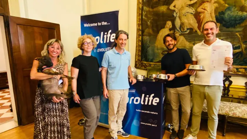 Presentazione in municipio dell'iniziativa "Treviso città amica degli animali"