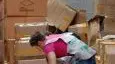 Rovigo, le false griffe