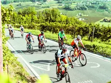 Ciclisti impegnati sulle strade della Prosecco Cycling