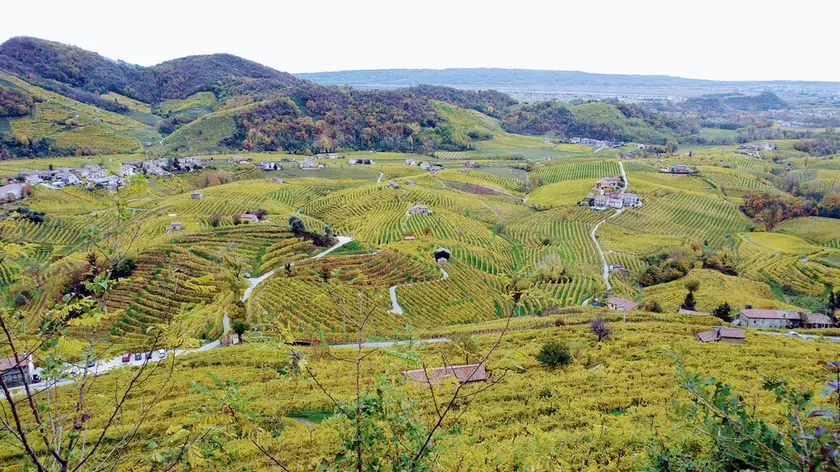 I vigneti di Cartizze a Valdobbiadene