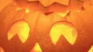 - OGNISSANTI. Zucche a profusione simbolo della notte di Halloween