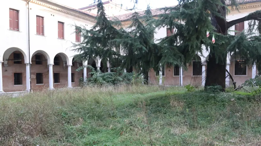 ZAGO AG.FOTOFILM TREVISO DEGRADO E ERBA ALTA EX UFF P. IVA IN VIA CANOVA