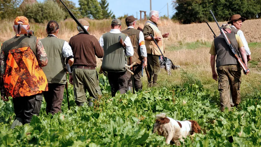 Hunters walk through fields, on September 16, 2012, in Godewaersvelde, at the first day of the hunting season in Northern France. With 1.3 million of hunters, France remains the first country in Europe for wildlife management ahead of Spain and Italy. AFP PHOTO / PHILIPPE HUGUEN (Photo credit should read PHILIPPE HUGUEN/AFP/GettyImages)