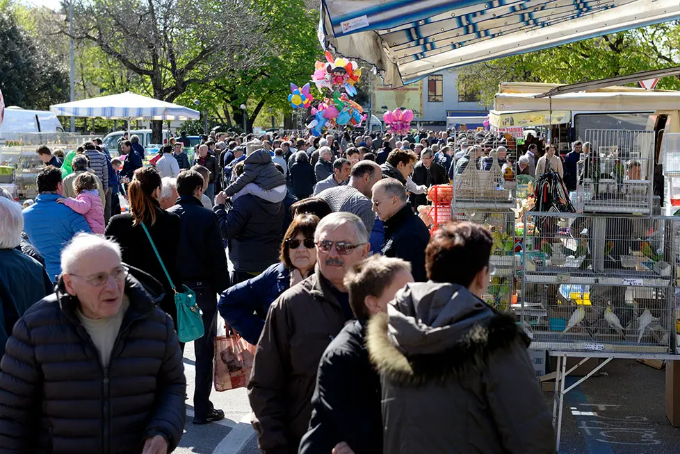 DeMarchi Montebelluna fiera degli uccelli