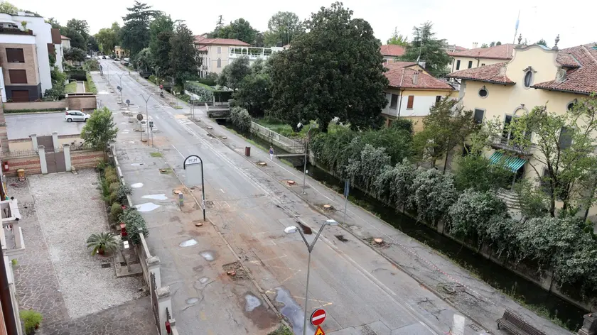 Il colpo d'occhio di viale Battisti a Treviso senza più alberi (foto Nicola Mattiuzzo/Fotofilm)