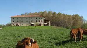 Casa e terreno di proprietà dell’azienda Collalto