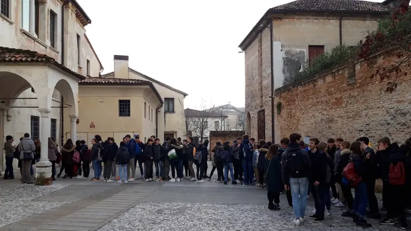 borghesi agenzia foto film treviso mostra la natura in posa santa caterina