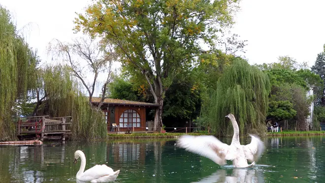 Borghesi Poggiana laghetto pesca sportiva
