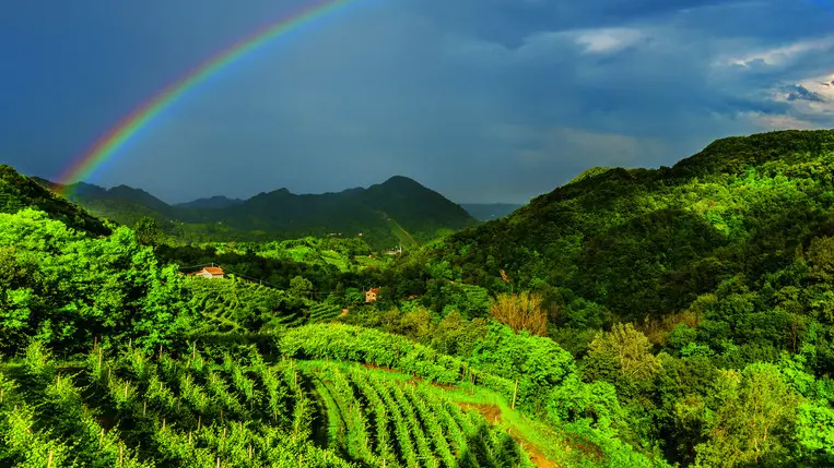 Le Colline del Prosecco di Conegliano e Valdobbiadene